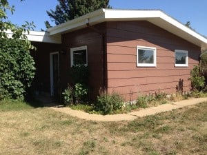 Auction House Yard Cleanup