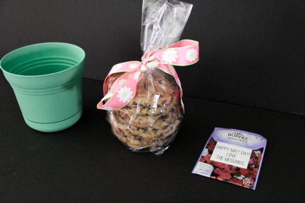 Flower Pot May Day Basket
