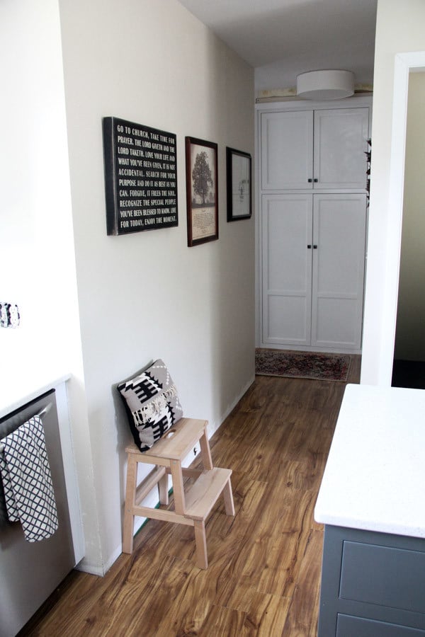 Pantry in hallway closet