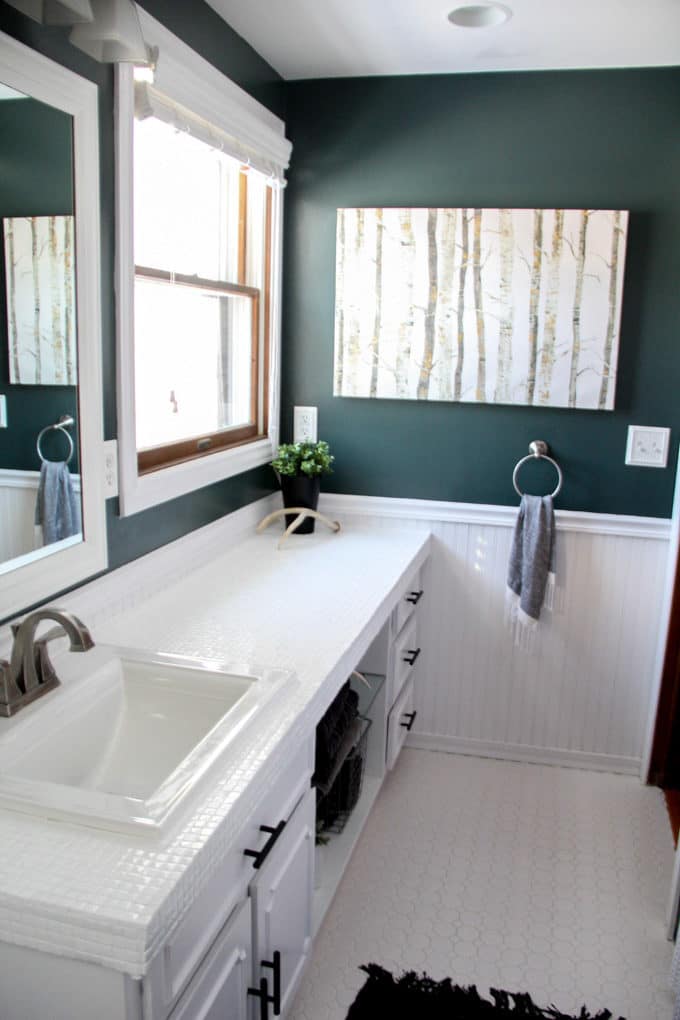 Green Painted Bathroom Walls