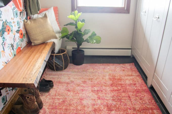 Modern Mudroom with Orange Rug